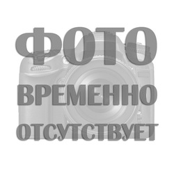 Диффенбахия Тропик Сноу D24 H90